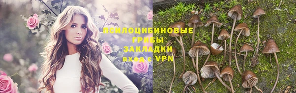 2c-b Бугульма
