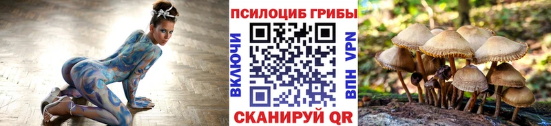 Галлюциногенные грибы мицелий  Звенигород 